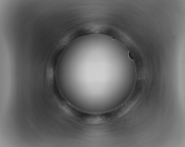 X0000113780646200909301150