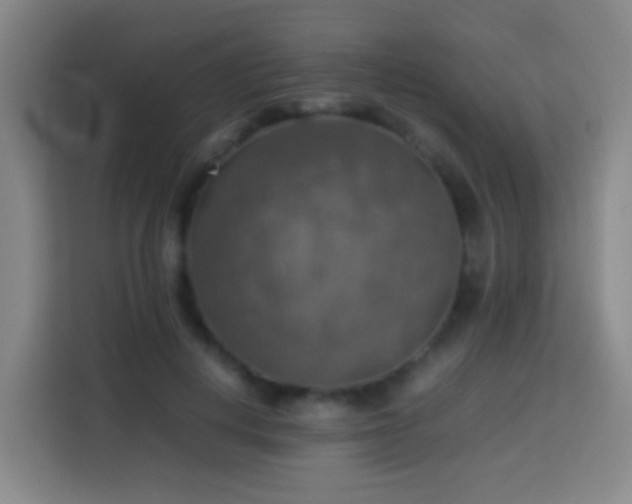 X0000113780648200909301150