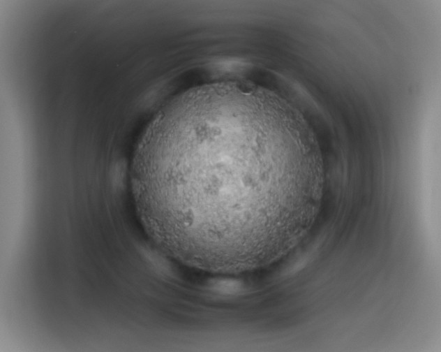 X0000113780649200909301150