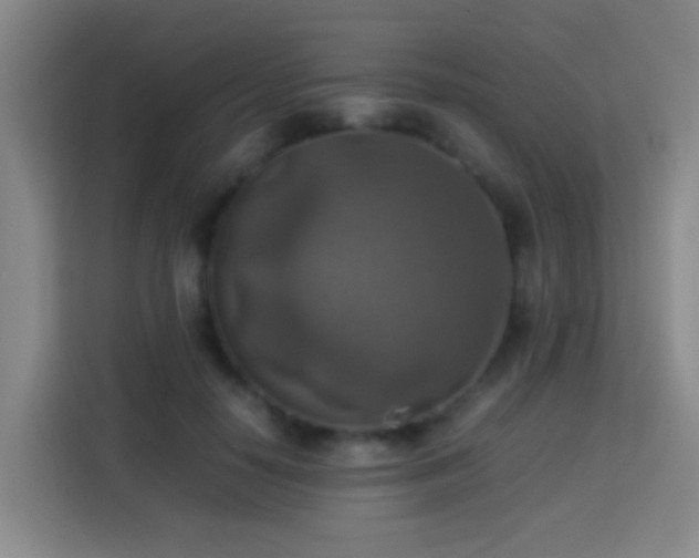 X0000113780650200909301150