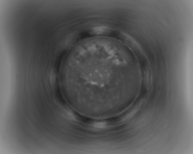 X0000113780653200909301150