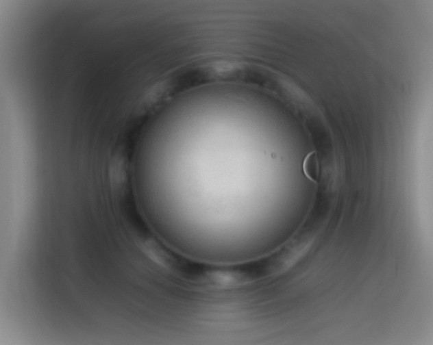 X0000113780654200909301150