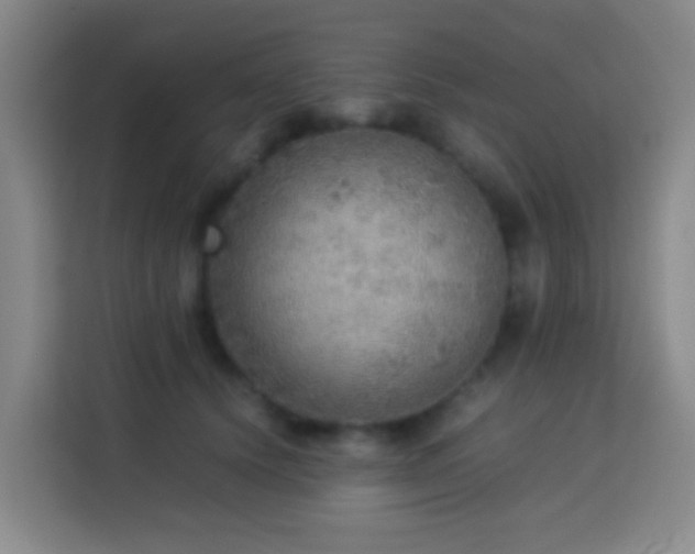 X0000113780656200909301150