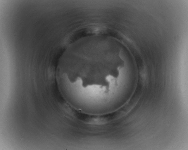 X0000113780657200909301150