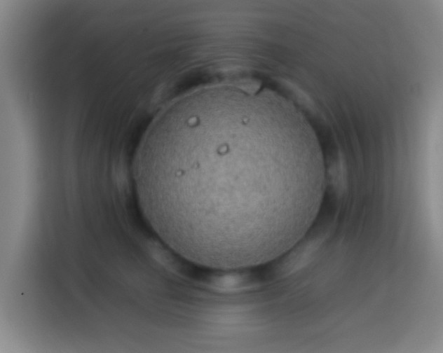 X0000113780662200909301150