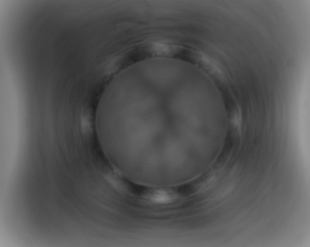 X0000113780663200909301150