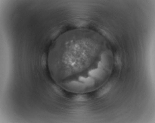 X0000113780664200909301150