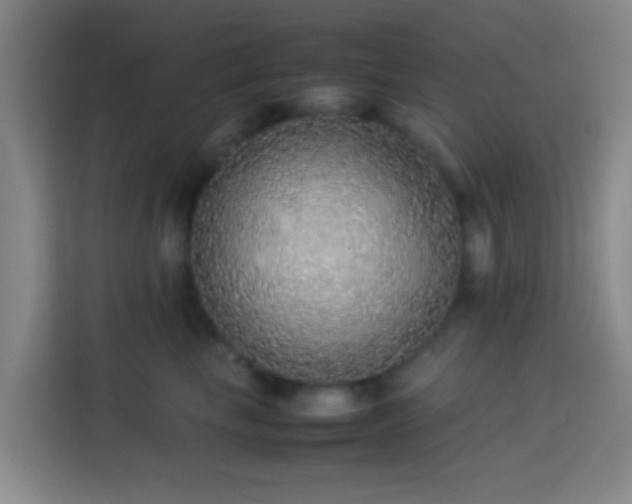 X0000113780665200909301150