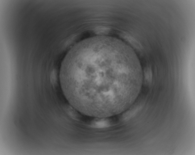 X0000113780667200909301150