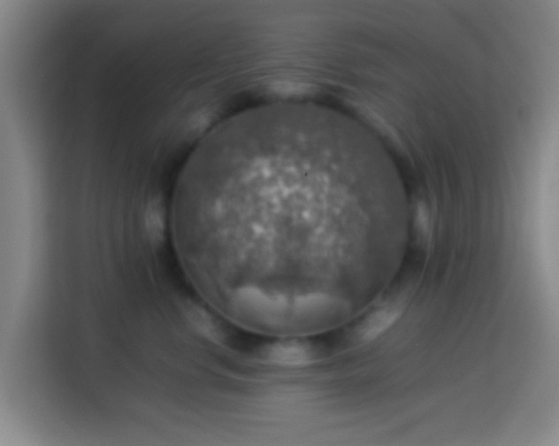 X0000113780668200909301150