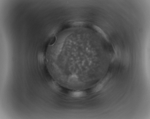 X0000113780669200909301150