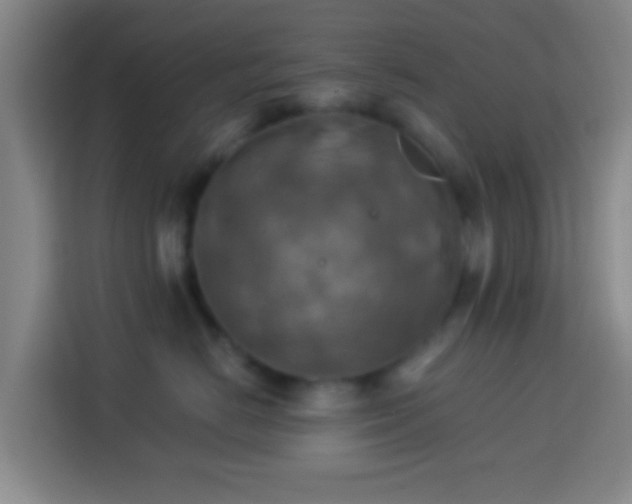 X0000113780670200909301150