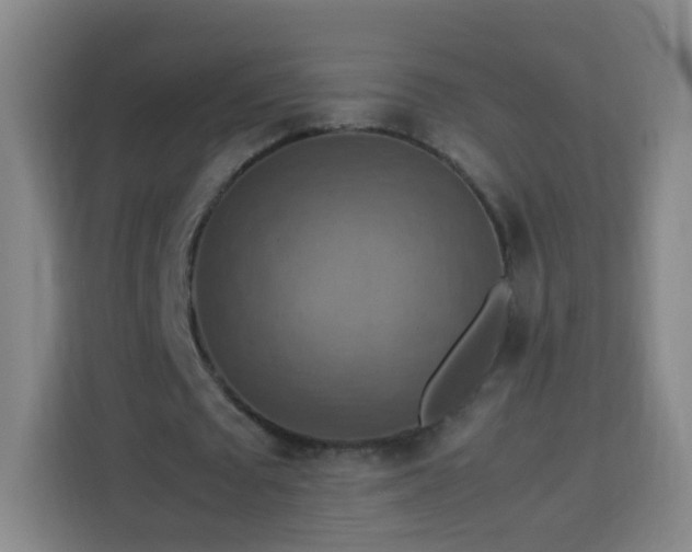X0000113780673200909301150