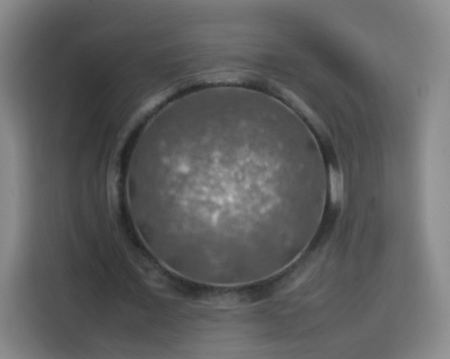 X0000113780675200909301150