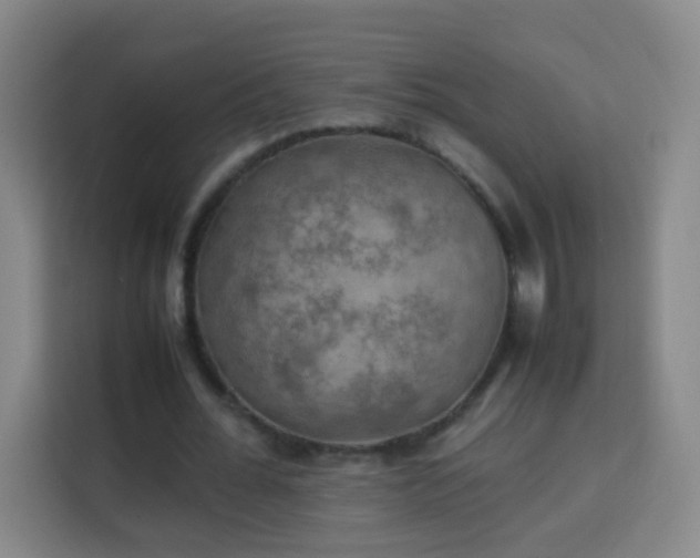 X0000113780676200909301150