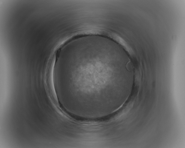 X0000113780677200909301150