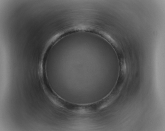 X0000113780678200909301150