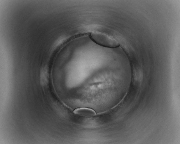 X0000113780680200909301150