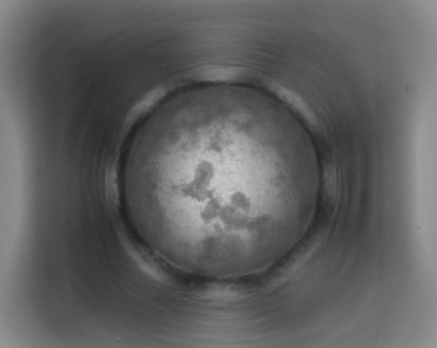 X0000113780682200909301150