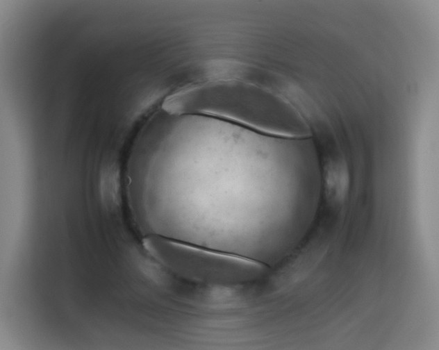 X0000113780684200909301150