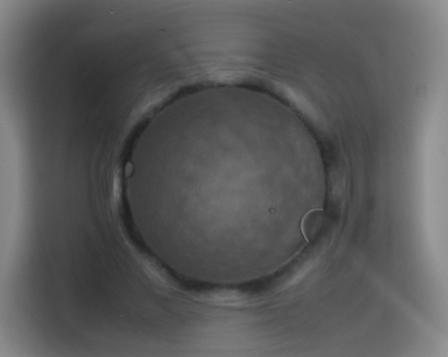 X0000113780685200909301150