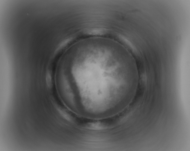 X0000113780688200909301150