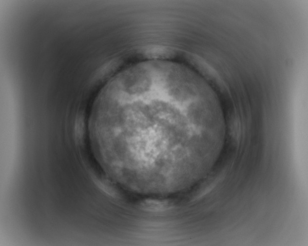 X0000113780690200909301150