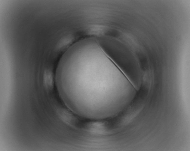 X0000113780692200909301150