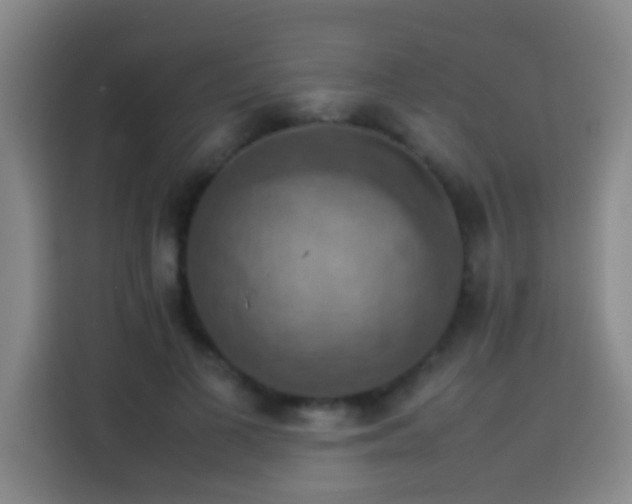 X0000113780693200909301150