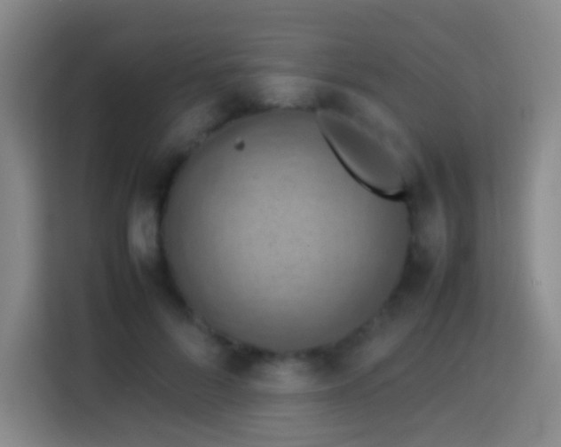 X0000113780696200909301150