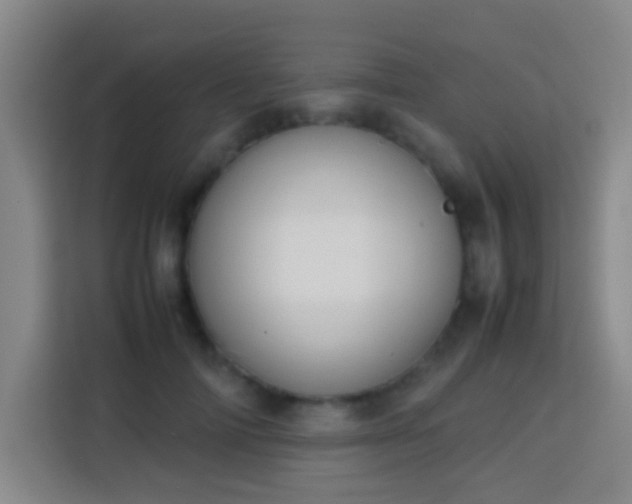 X0000113780698200909301149