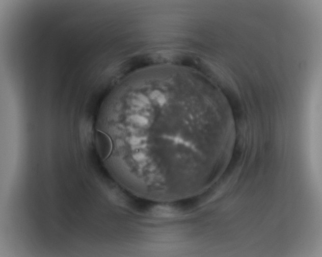 X0000113780699200909301149