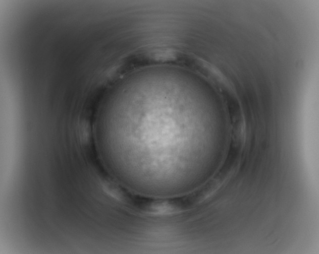 X0000113780704200909301149