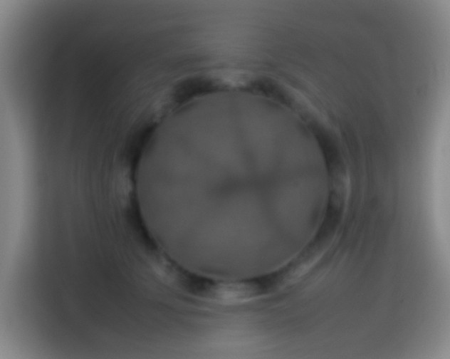 X0000113780707200909301149