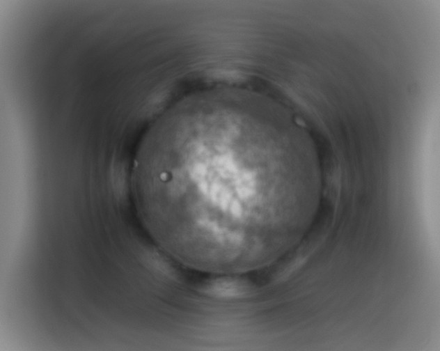 X0000113780708200909301149