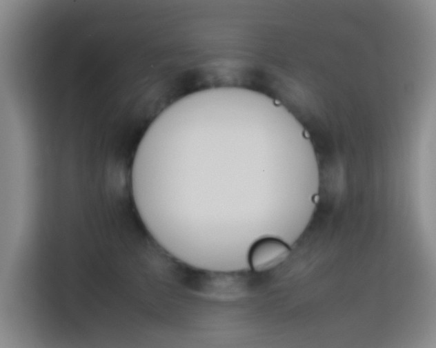 X0000113780709200909301149