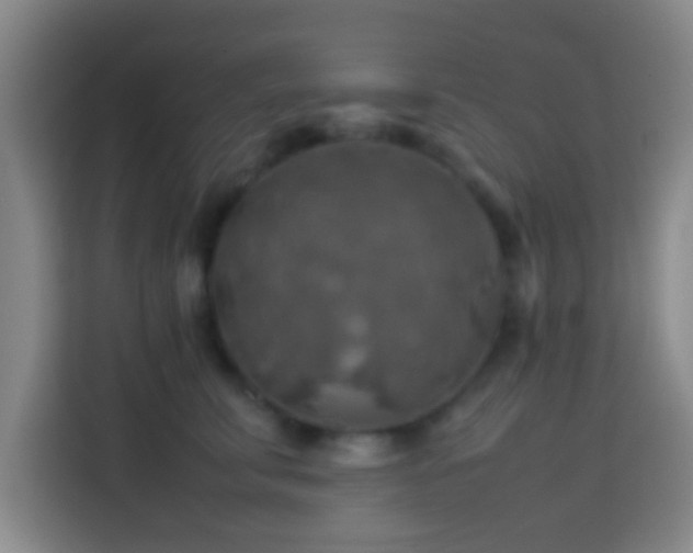 X0000113780711200909301149