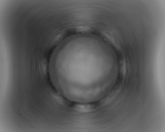 X0000113780712200909301149