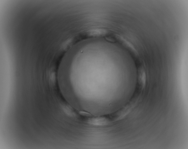 X0000113780716200909301149