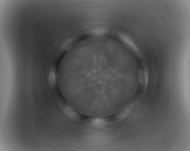 X0000113780718200909301149