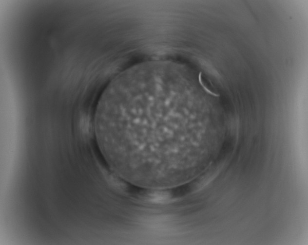 X0000113780719200909301149