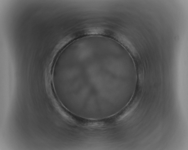 X0000113780721200909301149