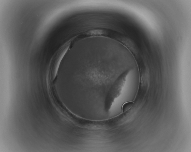 X0000113780722200909301149