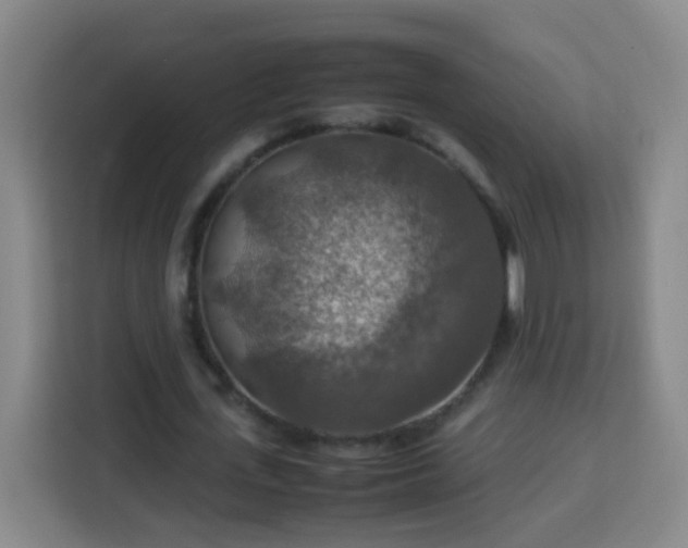 X0000113780723200909301149