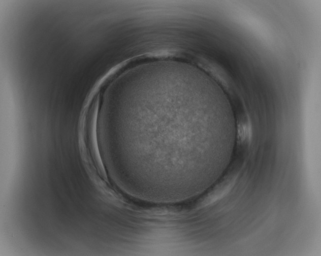 X0000113780724200909301149