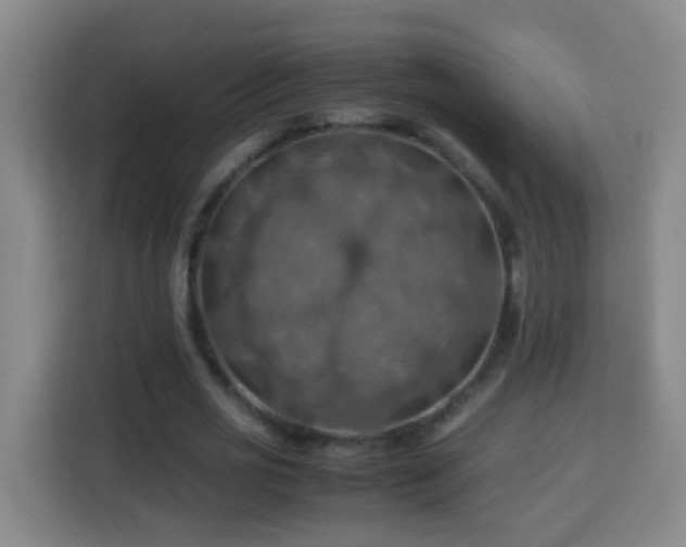 X0000113780725200909301149