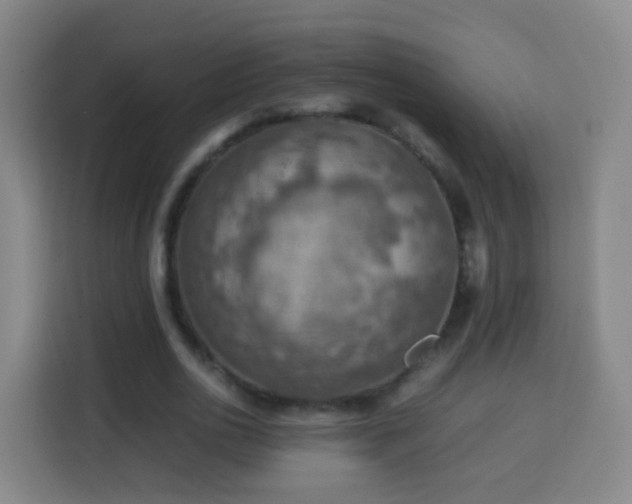 X0000113780726200909301149