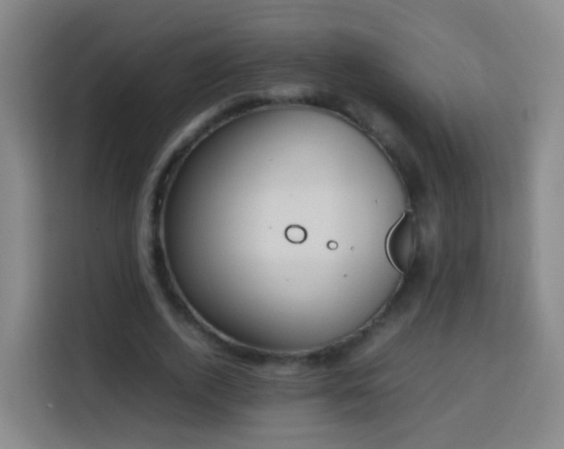 X0000113780728200909301149