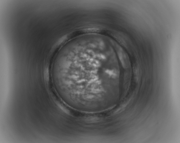X0000113780729200909301149