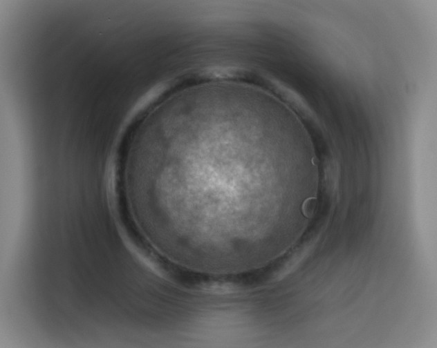 X0000113780730200909301149